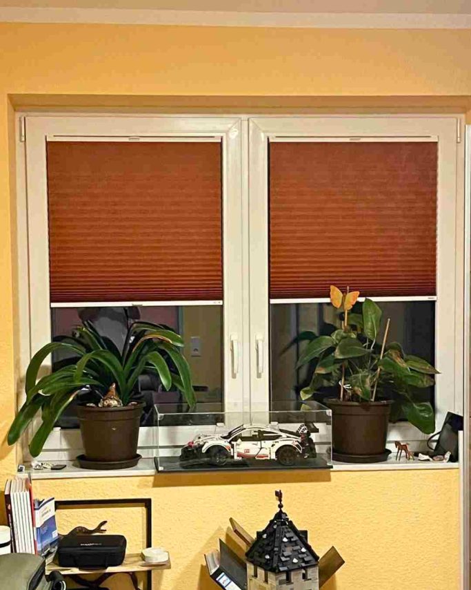 Zwei Fenster mit orangen Jalousien und zwei Pflanzen in Töpfen auf der Fensterbank.