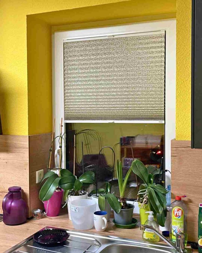 Küchenfenster mit Jalousien, Topfpflanzen und Spüle im Vordergrund.