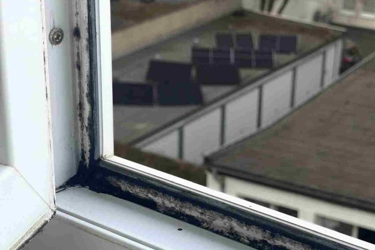 Schimmel an Fenstern Ein Fensterausschnitt, der Schimmel am Fensterrahmen zeigt.