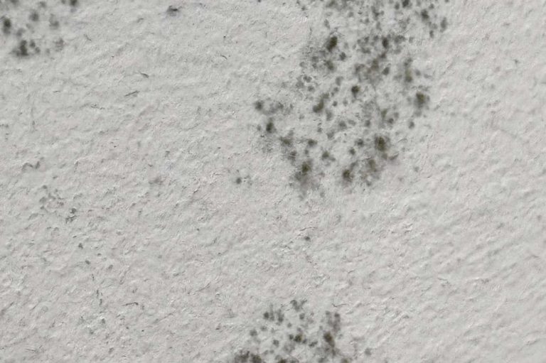 Maler bei der Schimmelsanierung. Ein Maler bringt Dämmung zur Schimmelsanierung an einer Wand an. Eine Baustellensituation.